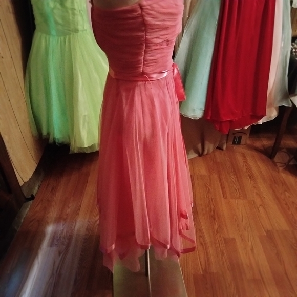 Pink Chiffon - Picture 4 of 5
